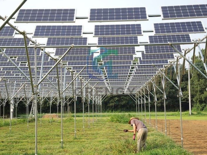 Agri-PV Mounting Systems