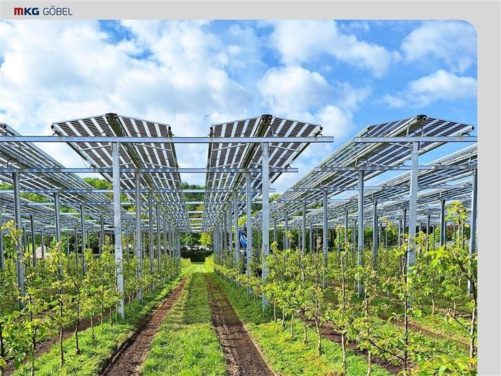 High-Clearance Solar Mounting Solutions For Dual-Use Agriculture factory