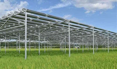 जमीन पर लगे सौर फार्म 2-4 मीटर ऊंचे