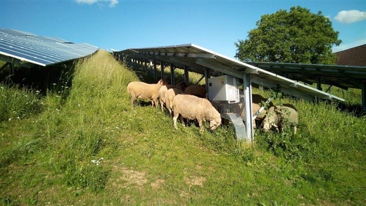 Solar Ground Mount Racking price